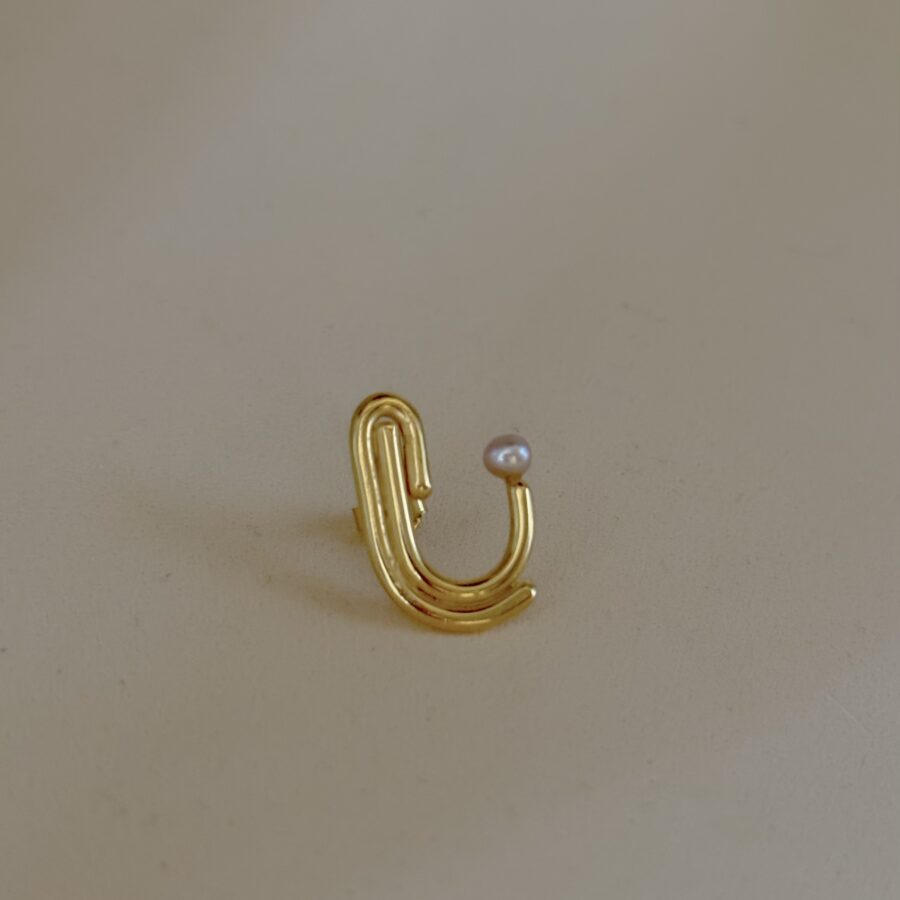 swing / earring / 01